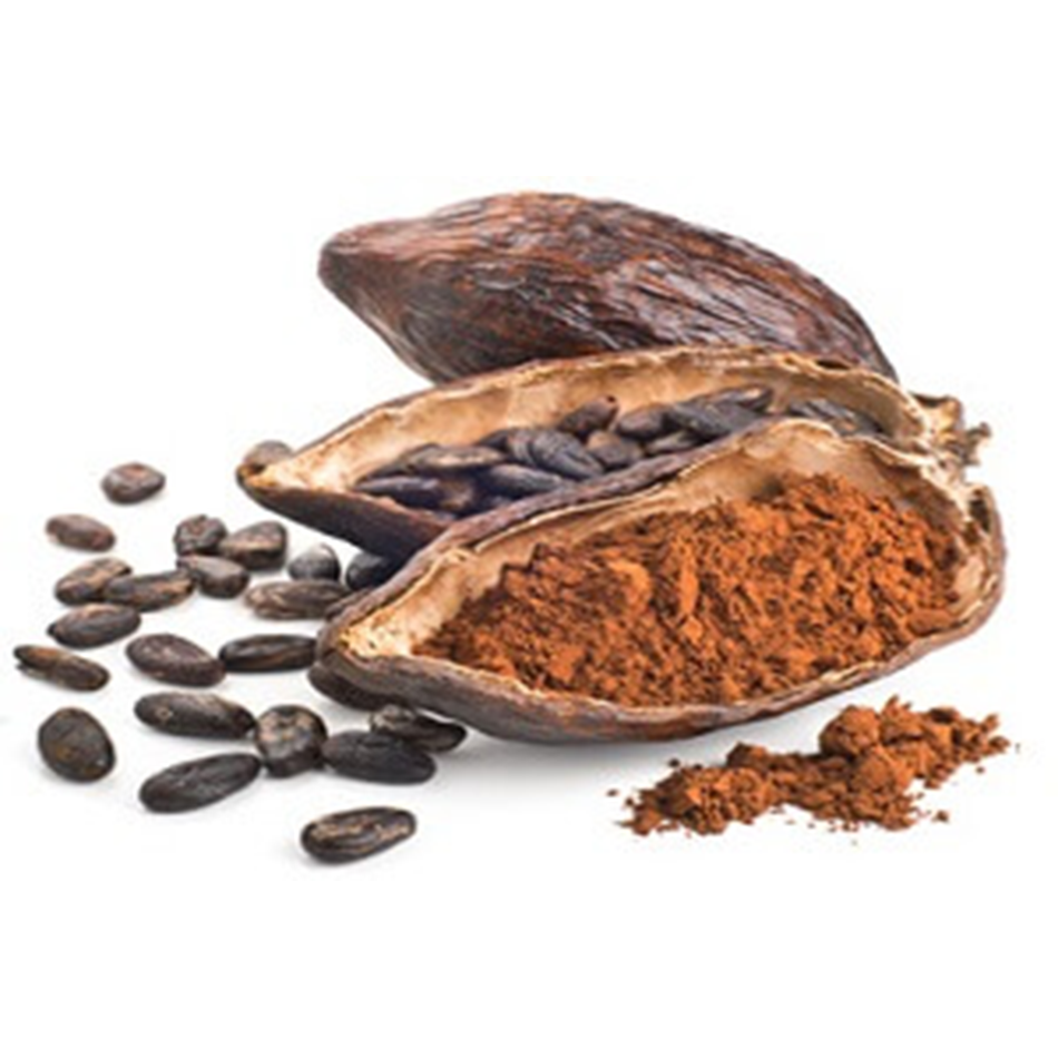Beurre de Cacao Bio